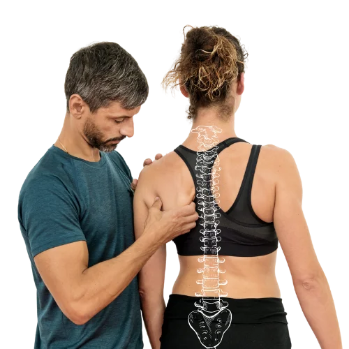 osteopath professional checking the clients back